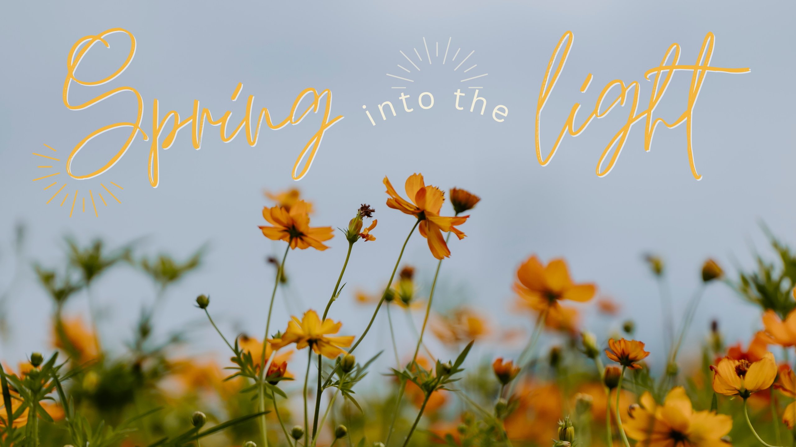 Picture of flowers with the wording "Spring into the Light"